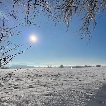 公寓 Alpen-stadt Idylle Dietramszell